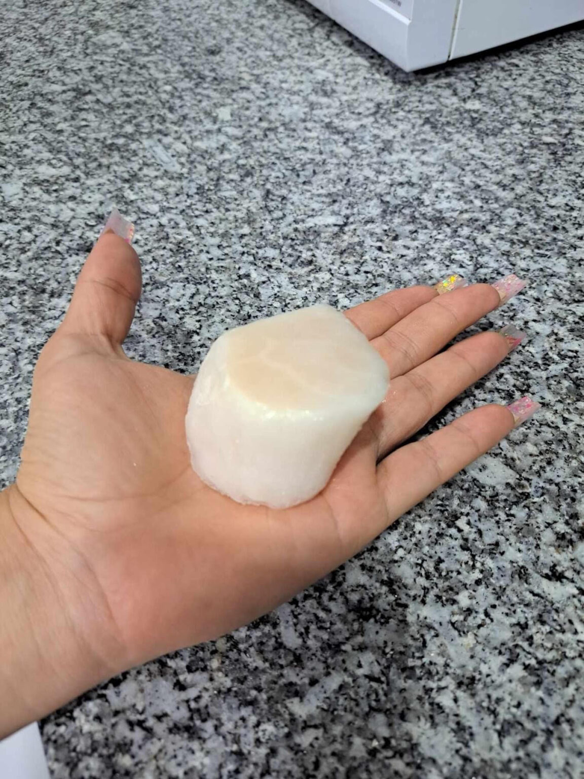 Scallops The Sausage Guy Costa Rica